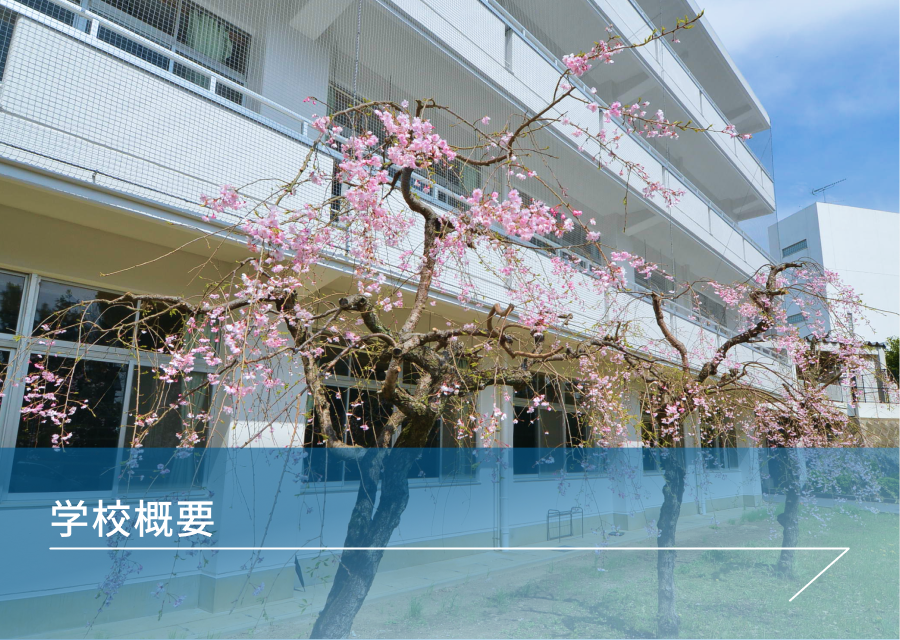 学校概要
